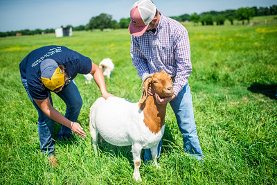 Students_with_Goat