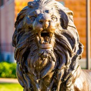 Dr. "Chuck" Arize Awarded Endowed Title - Thumbnail Image