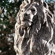 Lions Innovation Showcase - Fall 2016 - Thumbnail Image