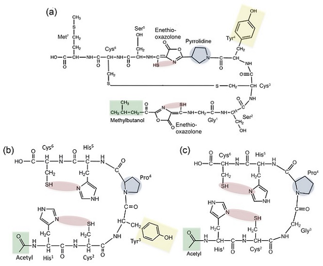 predicted structural and functional similarity 