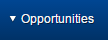 opportunities button