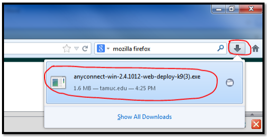 Click on the download icon in the browser, and then double click the Anyconnect file