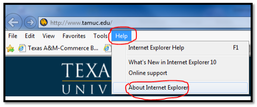 Check Browser version