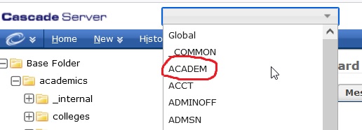 Pick ACADEM from Cascade site drop-down